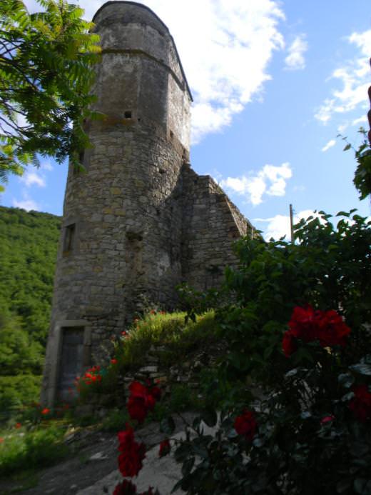 Tour du vieux château