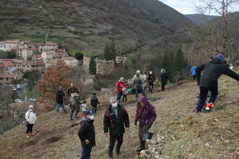 Plantation des amandiers